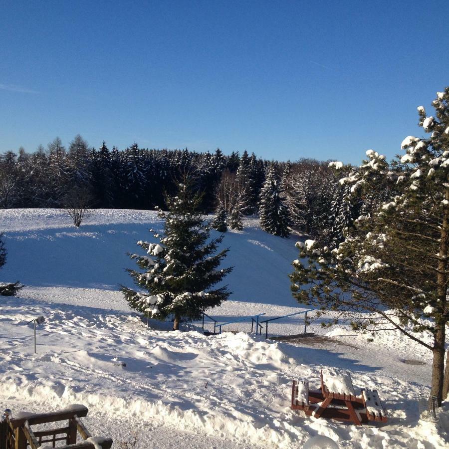 Ferienwohnung "Rodelnde Geiss" Mit Schwimmbad Braunlage Esterno foto