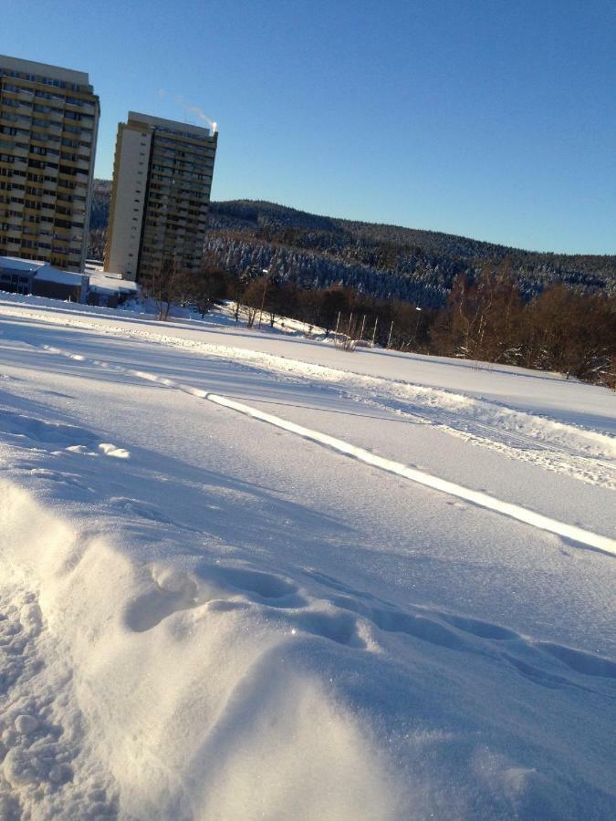 Ferienwohnung "Rodelnde Geiss" Mit Schwimmbad Braunlage Esterno foto