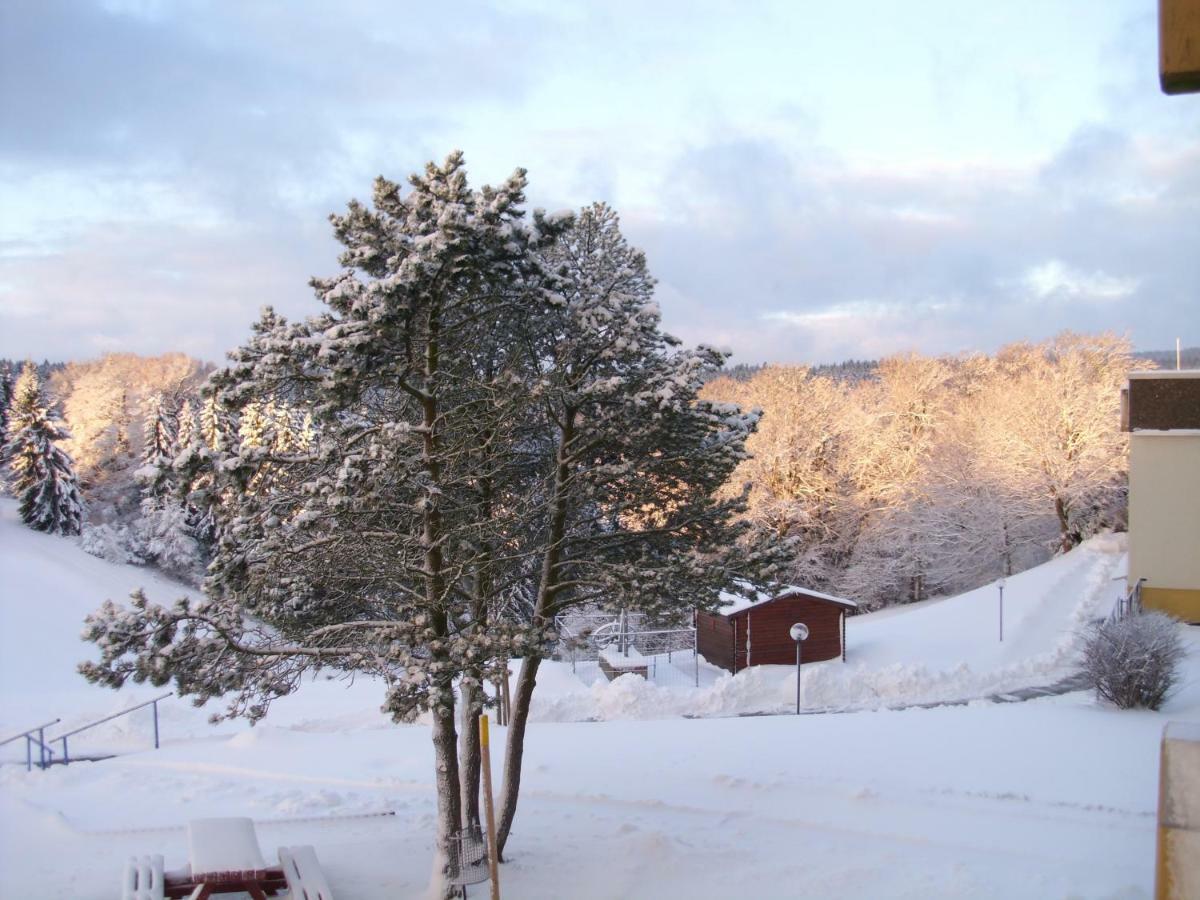 Ferienwohnung "Rodelnde Geiss" Mit Schwimmbad Braunlage Esterno foto