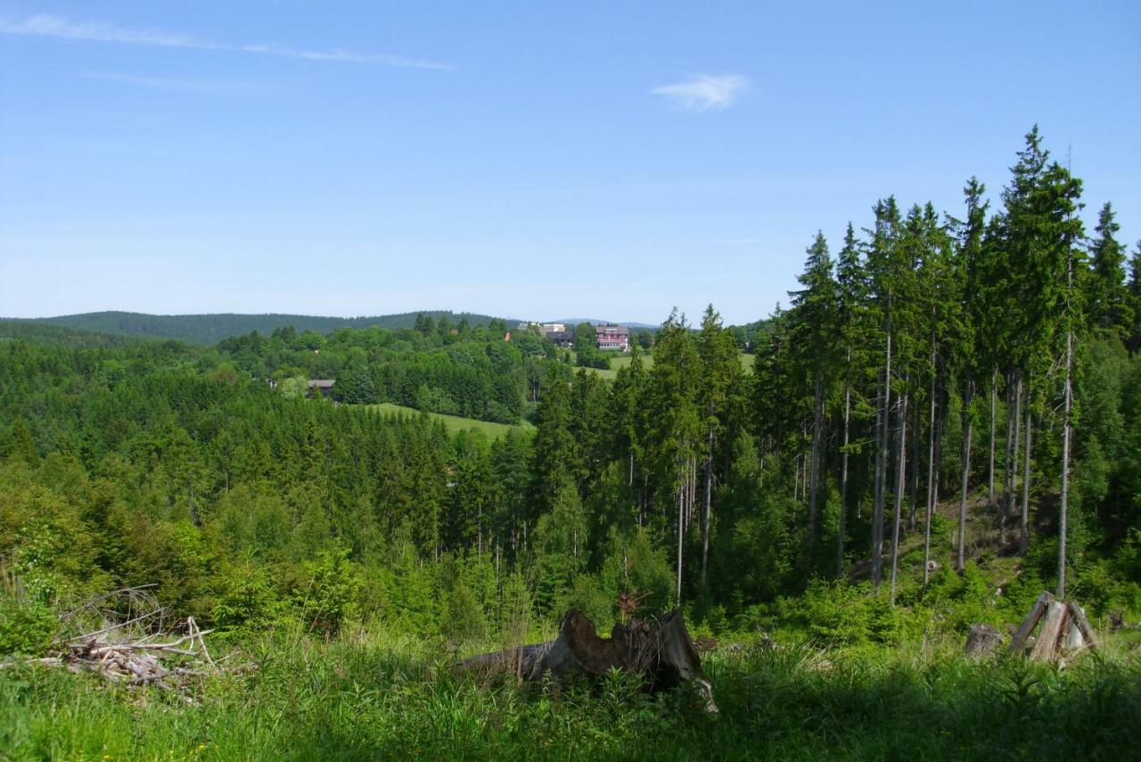 Ferienwohnung "Rodelnde Geiss" Mit Schwimmbad Braunlage Esterno foto